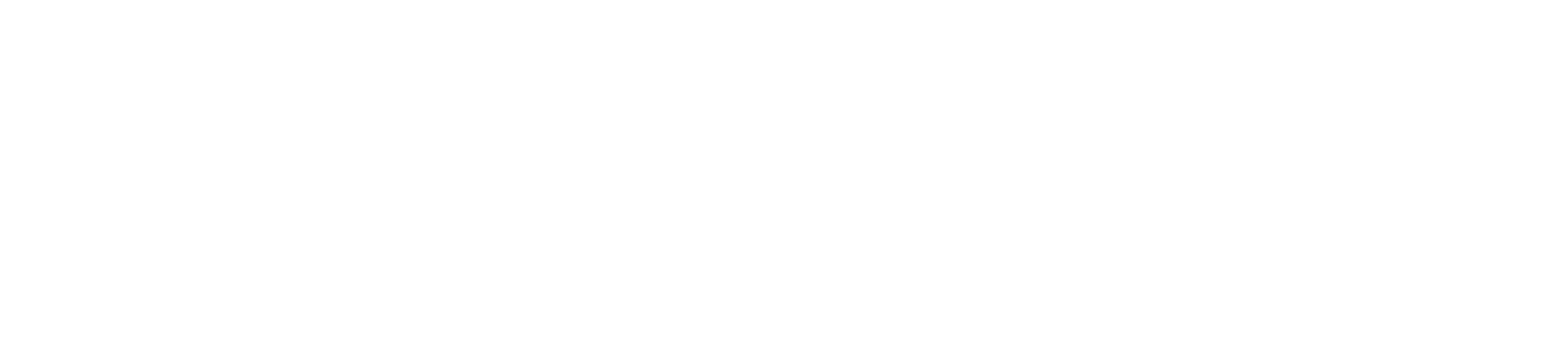N3 Evolve